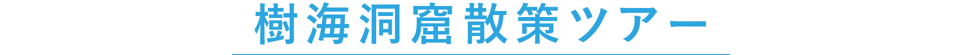 樹海洞窟散策ツアー